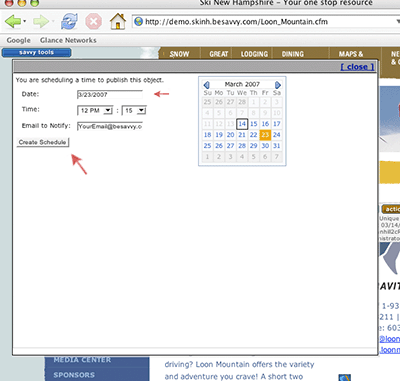 Screen shot of scheduling publication